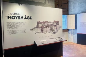 Lire la suite à propos de l’article La restitution par le dessin : avec quels enjeux, pour quels résultats  ?